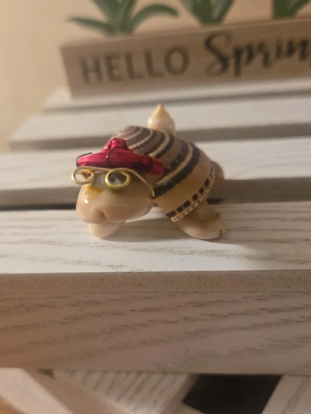 Decorative Small Pet Shell Turtle Figurine w- Glasses!